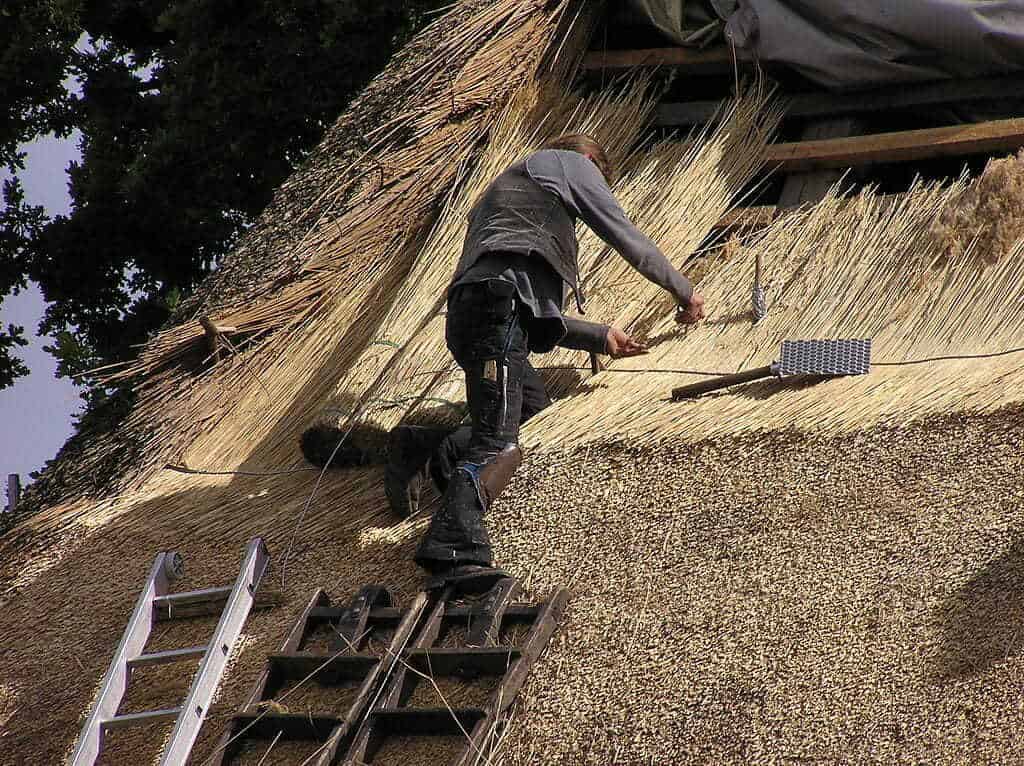 thatcher making a thatched roof